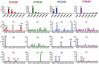 How ERAP1 and ERAP2 Shape the Peptidomes of Disease-Associated MHC-I Proteins